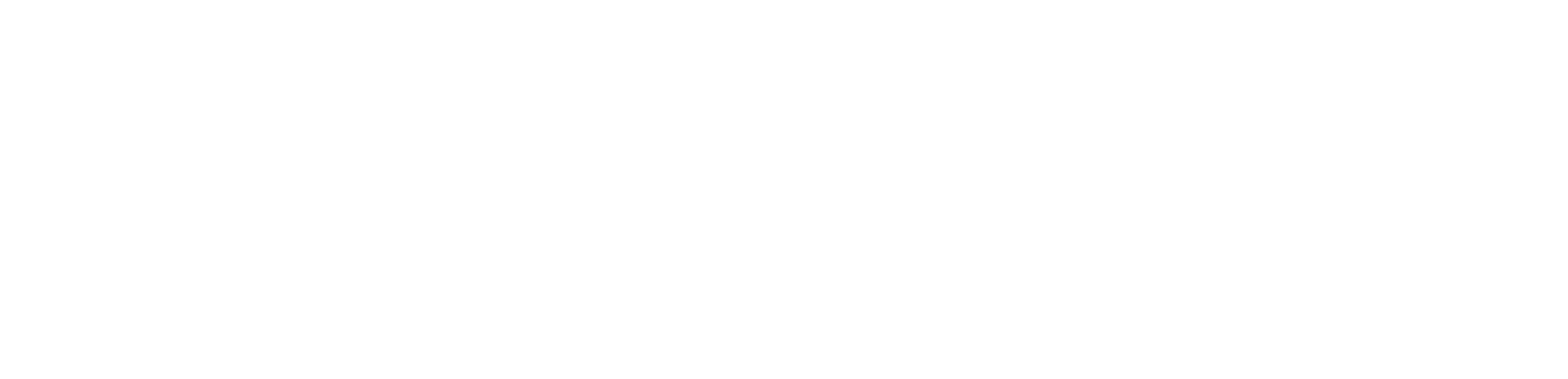 BeBravo Echo